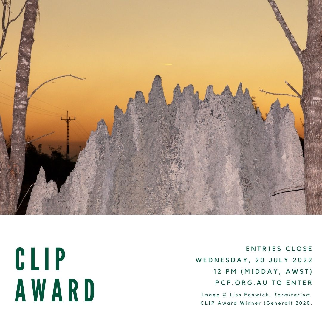 CLIP Award